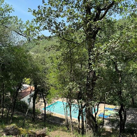 Maison Avec Piscine Chauffee Entre Mer Et Montagne Montauriol  外观 照片