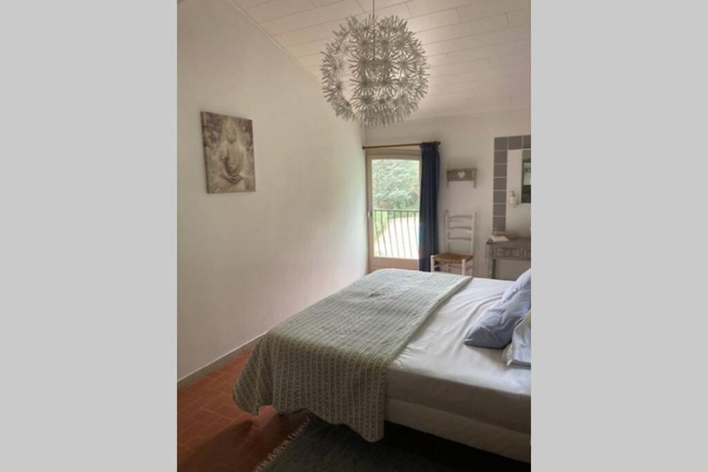 Maison Avec Piscine Chauffee Entre Mer Et Montagne Montauriol  外观 照片