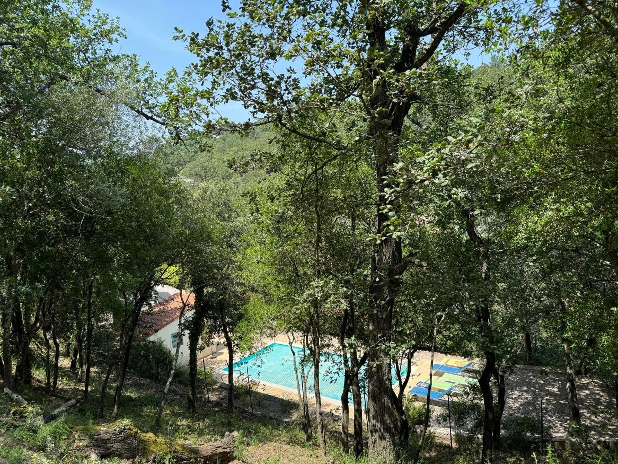 Maison Avec Piscine Chauffee Entre Mer Et Montagne Montauriol  外观 照片